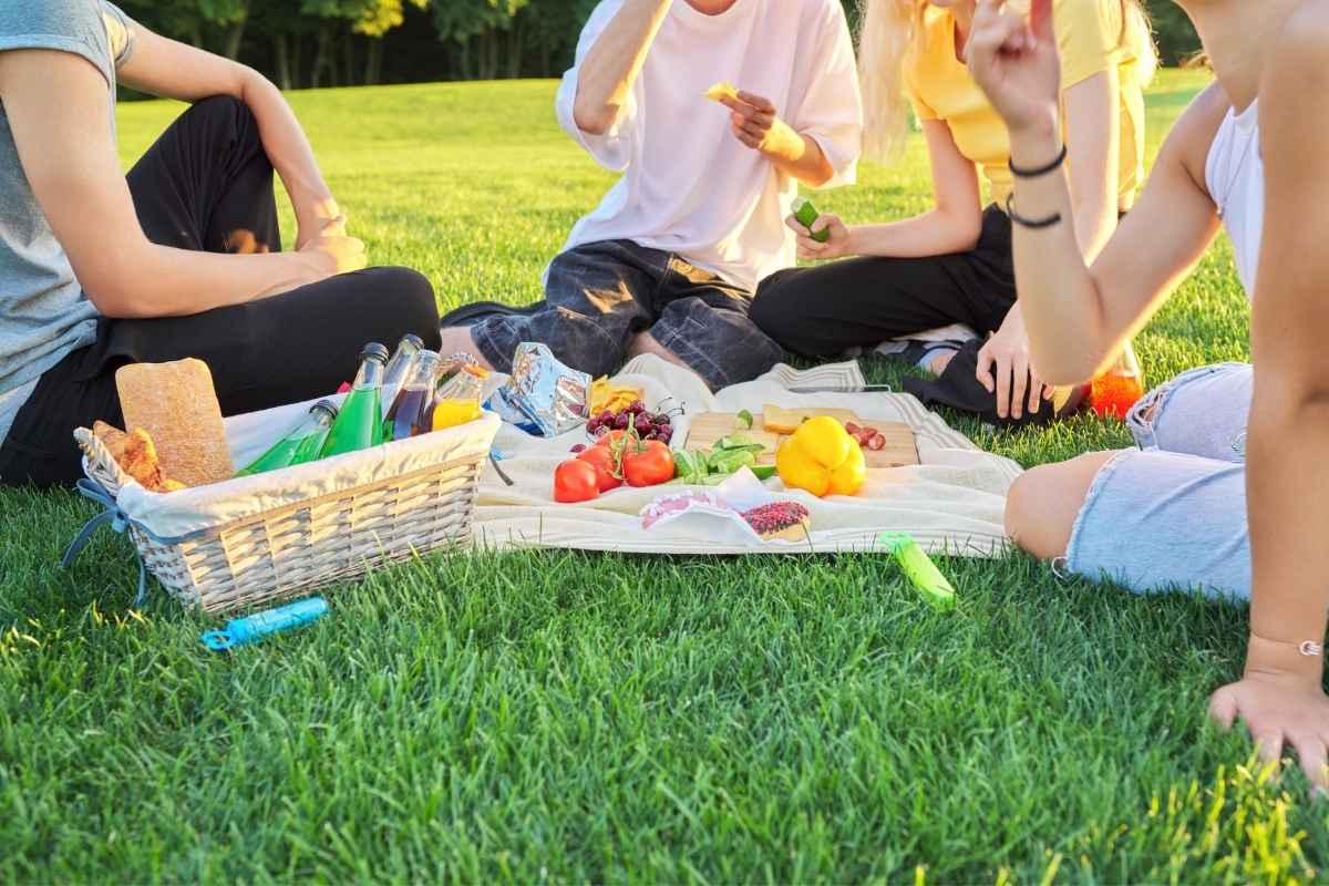 prikaz osoba na pikniku u prirodi